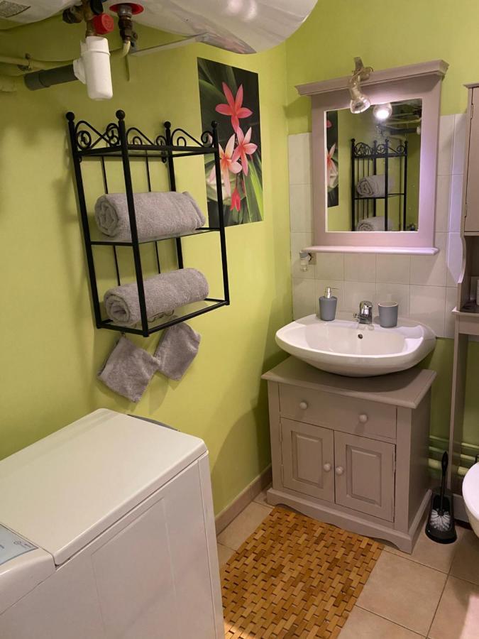 Appartement Cosy Avec Jardin Privatif Et Garage Fontainebleau Exteriör bild